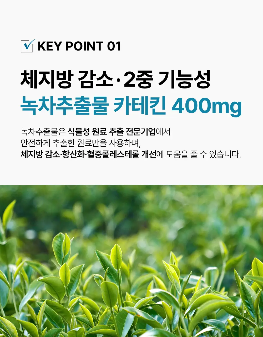 [추성훈PICK] 헬스헬퍼 맥스컷 프로 크롬 60캡슐 (10일분) 상세페이지 13